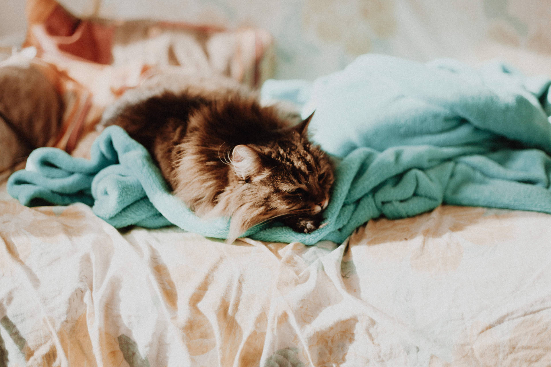 Take Your Photography to The Next Level with This Drone